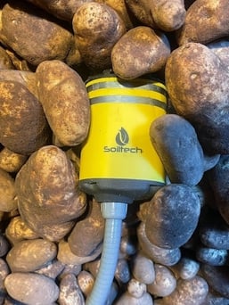 Beacon with antenna in potatoes