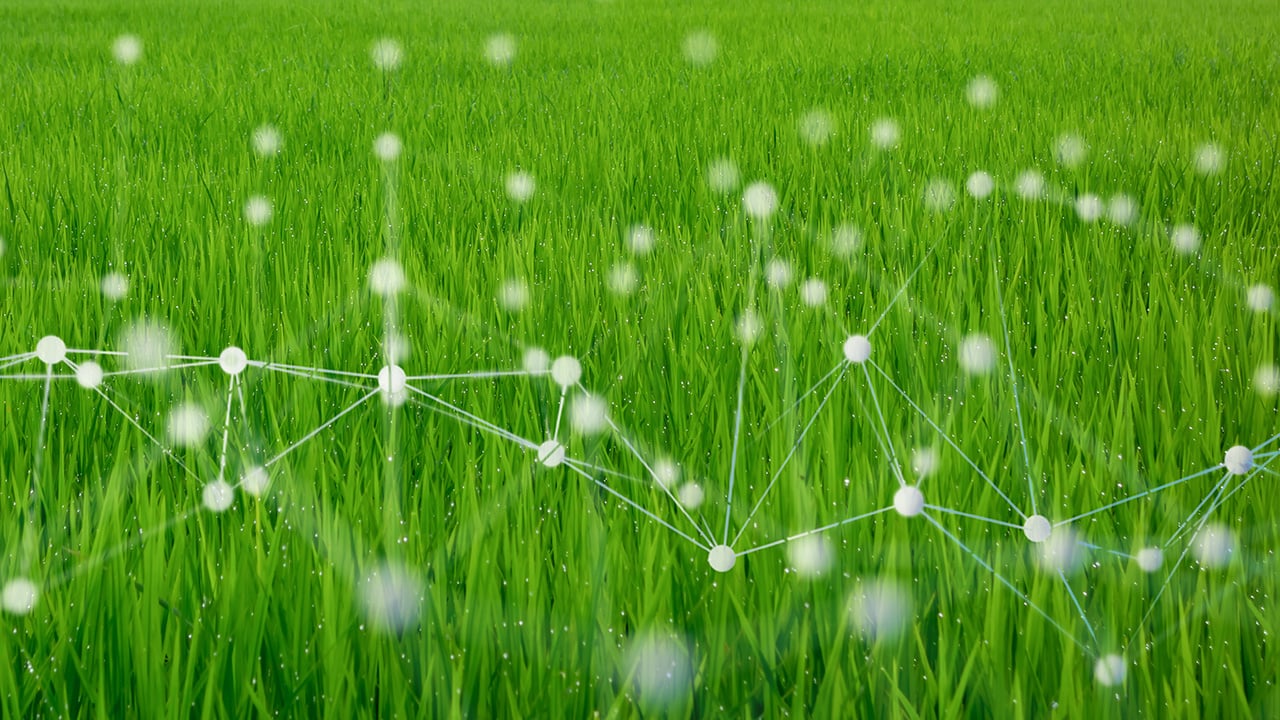 Soiltech-data