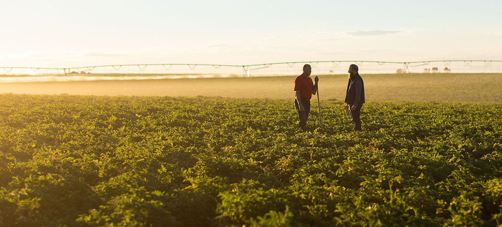 Soiltech_BlogImage_Simplifying AgTech_Inline image2